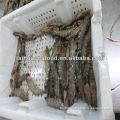 quality fresh mountain rock shrimp